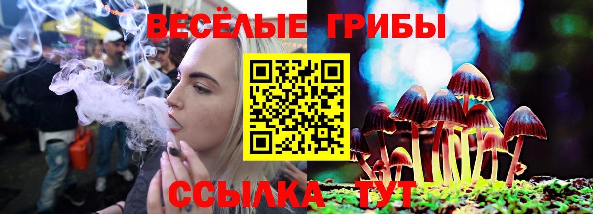 Псилоцибиновые грибы ЛСД  Вход с VPN  Псилоцибиновые грибы прущие грибы  Белореченск 