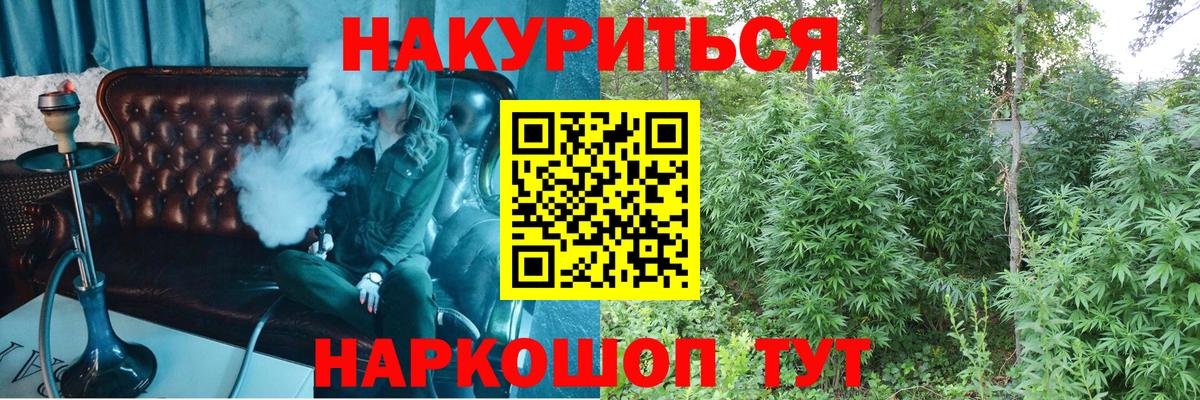 Канабис сатива Белореченск